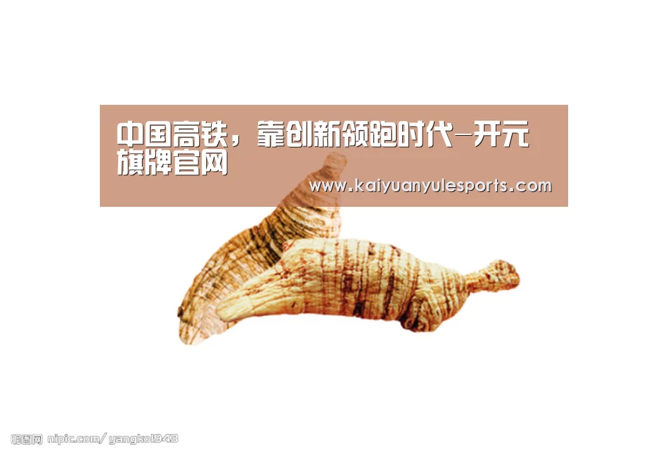 中国高铁，靠创新领跑时代-开元旗牌官网