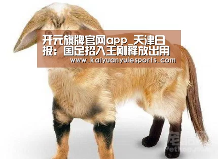 开元旗牌官网