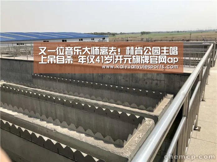 又一位音乐大师离去!林肯公园主唱上吊自杀 年仅41岁|开元旗牌官网app(图2) 开元旗牌官网app